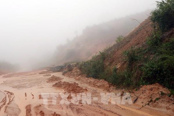 Quảng Nam: Thông tin ban đầu về 53 người mất tích do sạt lở đất ở Nam Trà My