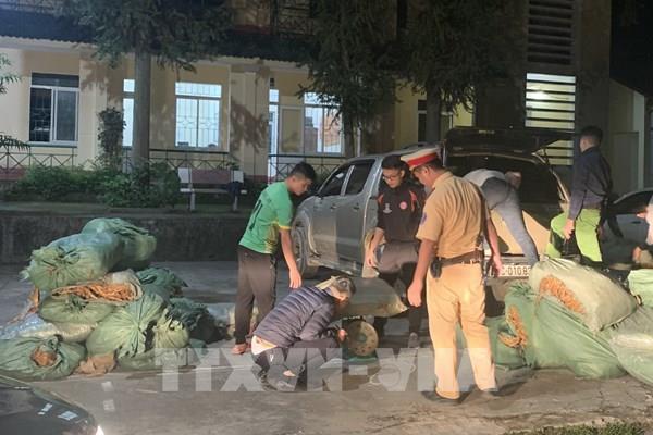 Cao Bằng bắt gần 800 kg thuốc lá nguyên liệu không rõ nguồn gốc xuất xứ