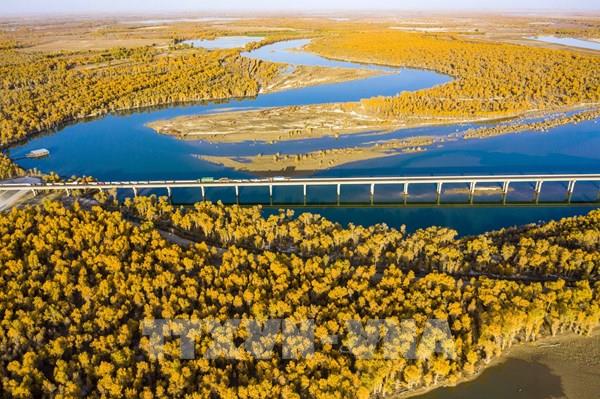 Mùa thu sang, sắc lá vàng và đỏ bao phủ ở nhiều nơi trên thế giới