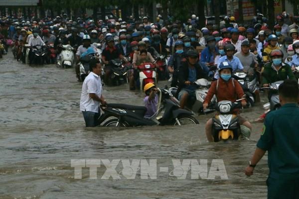 Triều cường tại Cần Thơ dự báo tiếp tục vượt báo động III