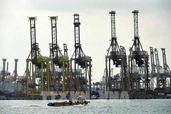 Các công ty Singapore bớt bi quan hơn về triển vọng kinh doanh