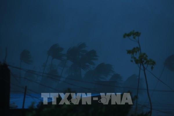 Siêu bão Surigae sẽ suy yếu dần từ ngày 20/4