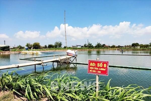 Giải cơn khát vốn cho hợp tác xã
