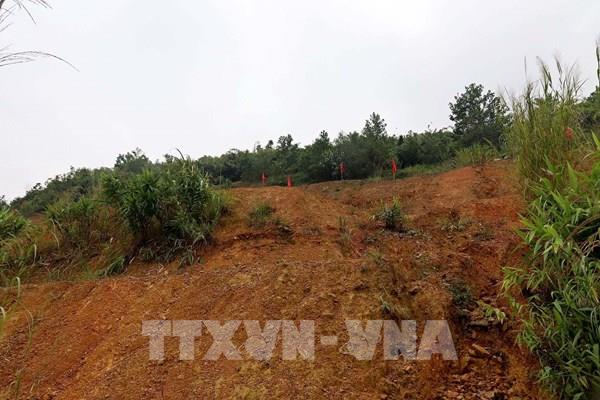 Quảng Ngãi: Di dời 75 hộ dân ra khỏi khu vực nguy cơ sạt lở núi