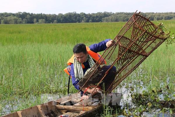 Trải nghiệm làm nông dân miền Tây tại vườn quốc gia Tràm Chim