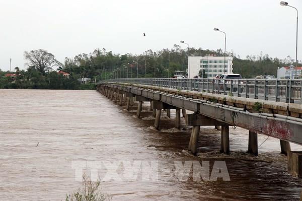 Quảng Ngãi: Cảnh cáo các nhà thầu để công nhân mắc kẹt giữa dòng sông Trà Khúc