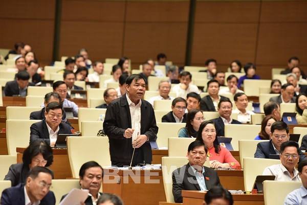 Phát triển rừng là yếu tố trọng yếu để tạo môi trường bền vững