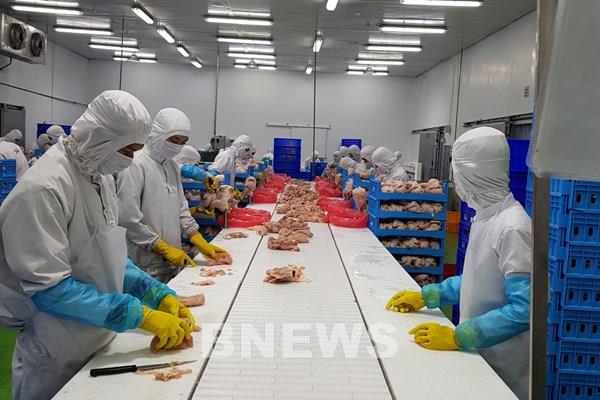 Thịt gà Việt Nam có thêm nhiều thị trường xuất khẩu