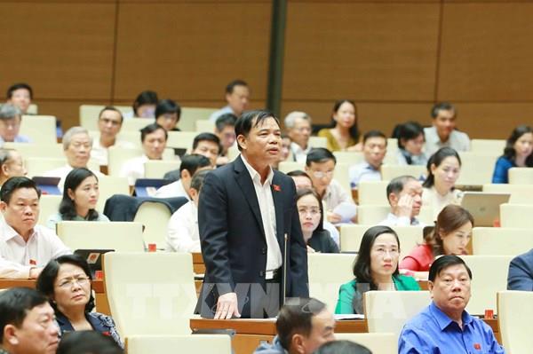 Hỗ trợ người dân tham gia trồng rừng nhằm tăng trữ lượng và chất lượng
