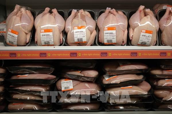 Hàn Quốc cấm nhập khẩu gia cầm từ Anh do dịch cúm gia cầm bùng phát