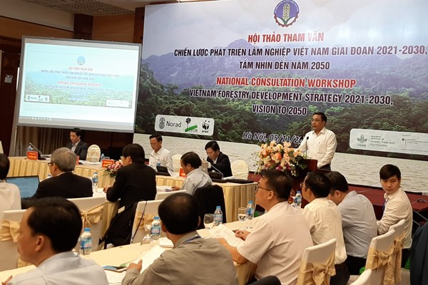 Thiếu giải pháp mang tính đột phá để phát triển ngành lâm nghiệp