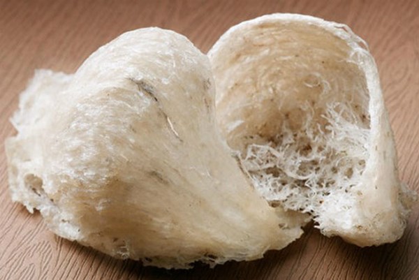 Indonesia và Trung Quốc ký Ý định thư về xuất-nhập khẩu tổ yến