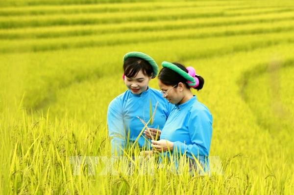 Diện mạo mới cho du lịch - Bài cuối: Phát huy đòn bẩy kích cầu