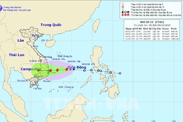 Phú Yên thực hiện cấm biển từ 10 giờ ngày 9/11