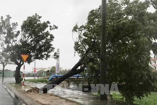 Ảnh hưởng bão số 12: Phú Yên có mưa lớn, gió giật mạnh
