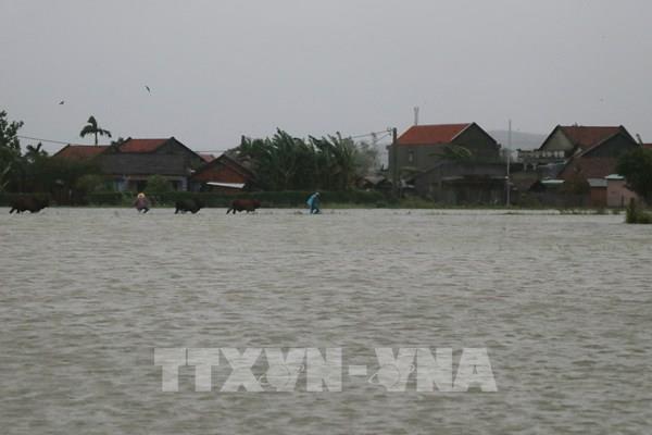 Huyện miền núi Đồng Xuân (Phú Yên) bị cô lập hoàn toàn do nước lũ