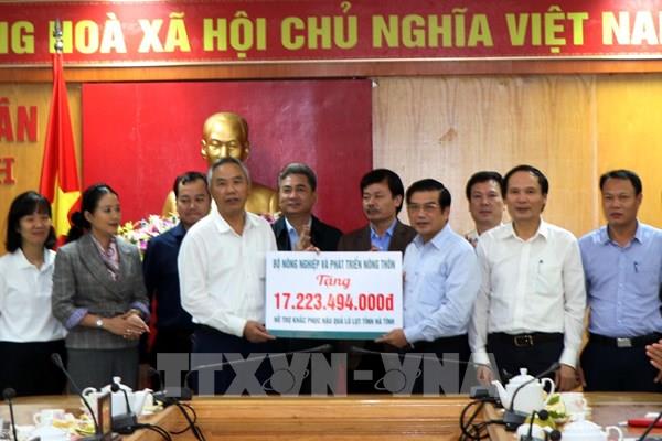 Hà Tĩnh: Khẩn trương tái thiết, khôi phục sản xuất sau lũ