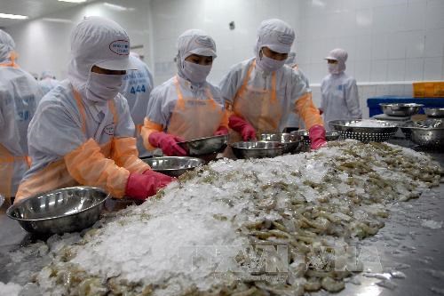 Bộ trưởng Tài chính Indonesia: Kinh tế Việt Nam vẫn trụ vững trong đại dịch COVID-19