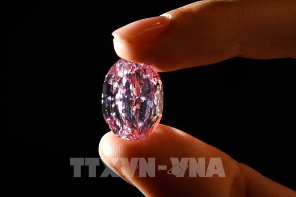 Viên kim cương hồng quý hiếm được bán với giá 26,6 triệu USD