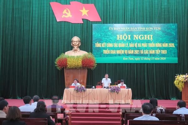 Kon Tum: Không bảo vệ được rừng người đứng đầu cấp ủy phải chịu trách nhiệm