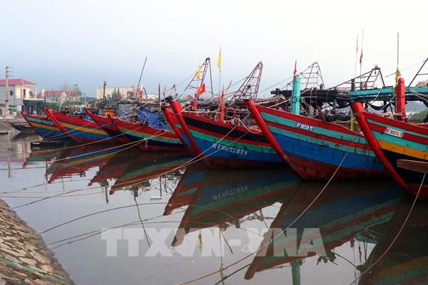 Hà Tĩnh cấm biển từ 17 giờ ngày 13/11