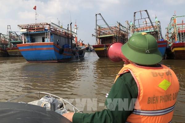 Vùng biển từ Hà Tĩnh đến Quảng Ngãi gió mạnh cấp 7-8, giật cấp 12, biển động rất mạnh