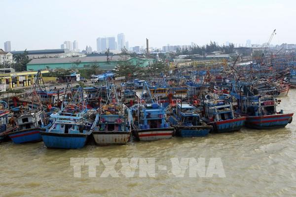 Quảng Nam hoàn thành phương án phòng, chống bão trước 12h ngày 14/11 