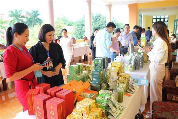 Hà Nội thuộc nhóm có số sản phẩm OCOP cao nhất cả nước