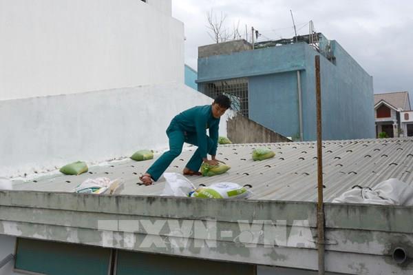 Đà Nẵng khẩn trương di dời dân, chằng chống nhà cửa