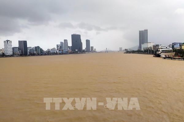Những quan niệm sai lầm trong phòng, tránh bão