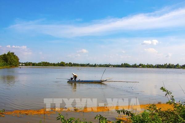 Hậu Giang: Con nước tràn đồng