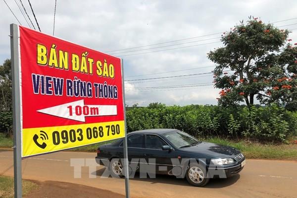 Lâm Đồng kiểm tra các dự án bất động sản "ma"