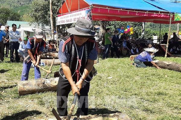 Khai mạc tuần lễ hoa dã quỳ - núi lửa Chư Đăng Ya, Gia Lai