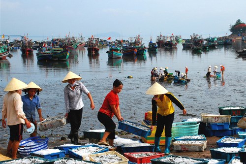 Ngư dân Thanh Hóa gặp khó sau dịch COVID-19