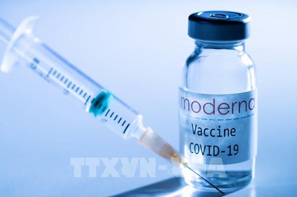 Canada cấp phép sử dụng vaccine của Moderna