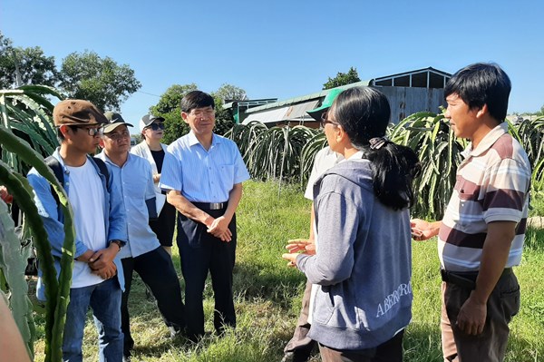 Thay đổi mô hình hoạt động, nhiều hợp tác xã xuất khẩu sang được thị trường khó tính