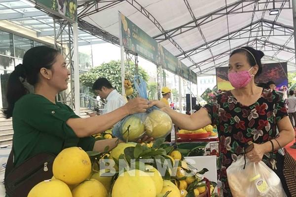 Cam và nông sản sạch Hưng Yên hấp dẫn người tiêu dùng Thủ đô