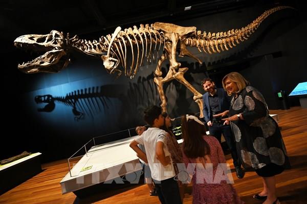 Bảo tàng lâu đời nhất ở Australia sắp mở cửa đón khách trở lại