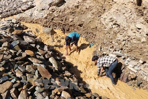 Đời phu vàng bên suối Nậm Cười