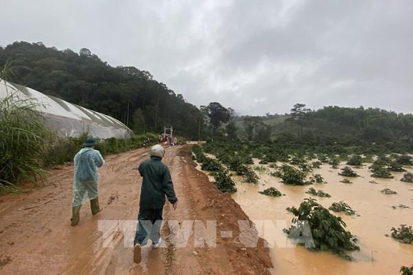 Lâm Đồng: Đã cứu được 2 du khách giữa dòng lũ, 2 người vẫn đang mất tích