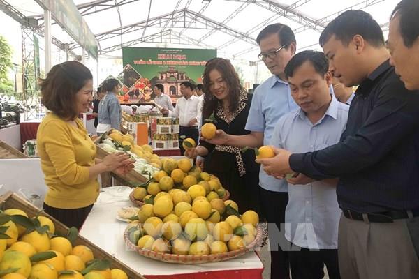 Cơ hội xuất khẩu thực phẩm, đồ uống và nông sản qua thương mại điện tử