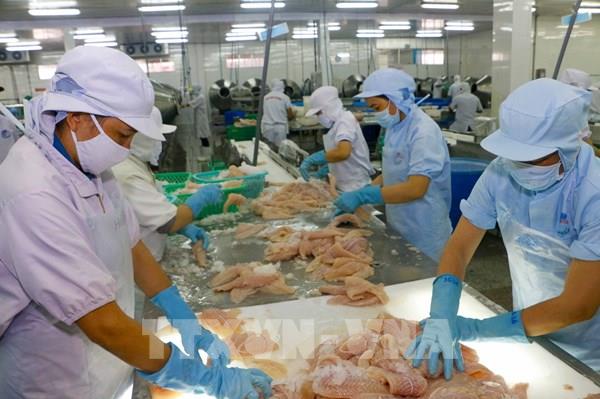 Hiệp định UKVFTA: Kỳ vọng rộng mở cho nông sản Việt sang Vương quốc Anh