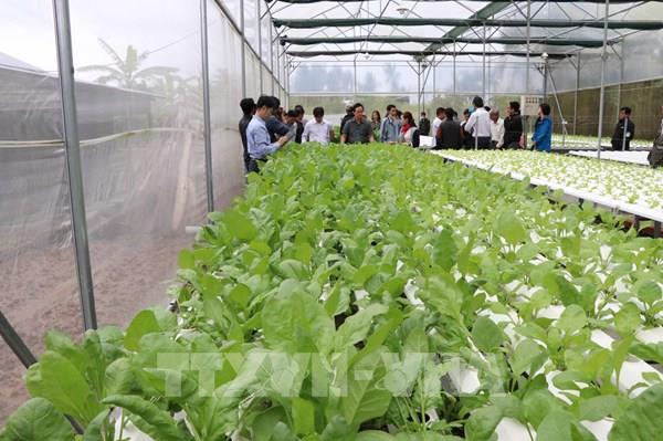 Tìm hướng tăng chuỗi giá trị cung ứng nông sản Nam Trung bộ và Tây Nguyên