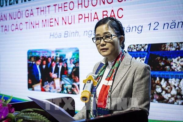 Chăn nuôi gà thịt theo hướng sản phẩm OCOP ở các tỉnh miền núi phía Bắc