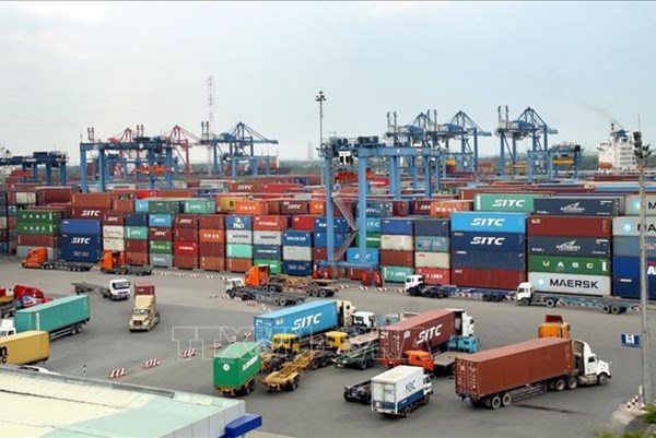 Cục Hàng hải Việt Nam yêu cầu hãng tàu container minh bạch giá cước vận chuyển