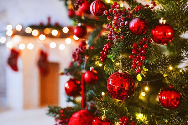 Cây thông trang trí được coi là biểu tượng của mùa Giáng sinh, mang lại không khí đón chờ ngày lễ. Hãy chiêm ngưỡng những cây thông trang trí đầy lung linh, sáng tạo và độc đáo để cảm nhận sự phấn khích của mùa lễ hội này.