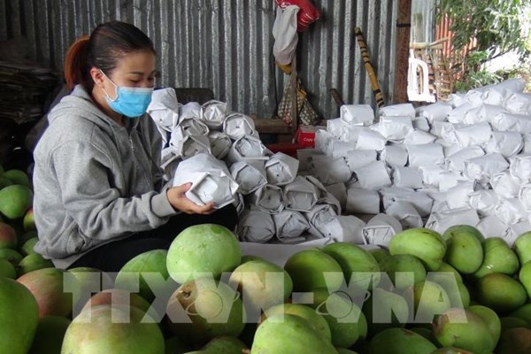 Hơn 90% hàng hóa Campuchia xuất khẩu sang Trung Quốc được miễn thuế