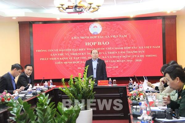 Phát huy vai trò nòng cốt của kinh tế tập thể, hợp tác xã