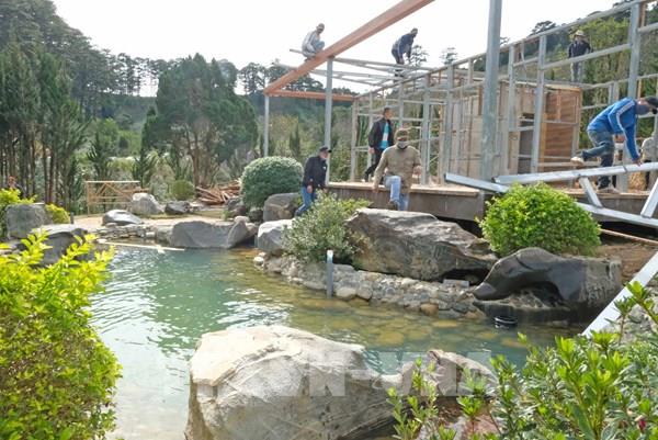 Lâm Đồng: Cưỡng chế công trình xây dựng trái phép trong "Làng biệt thự"