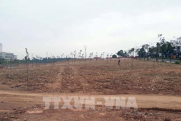 Bình Phước quy hoạch thêm 8.000 ha đất phát triển khu công nghiệp